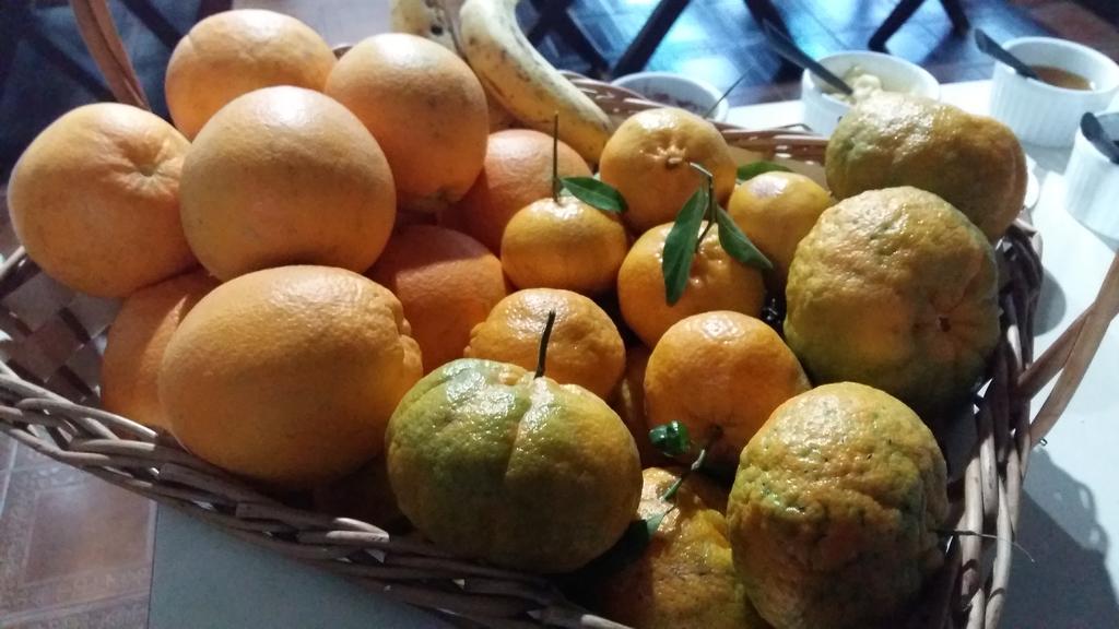 Pousada Tres Coroas Três Coroas Exterior foto